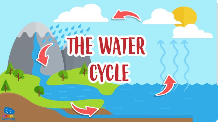 The water cycle.jpg